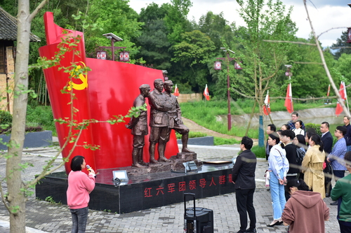 DSC_1637 DSC_1637