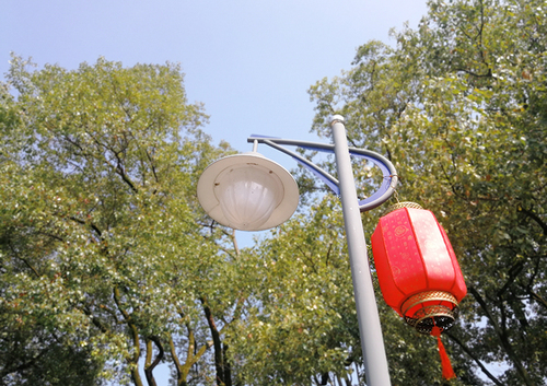 IMG_20180304_144559x