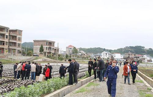 田间实践教学现场
