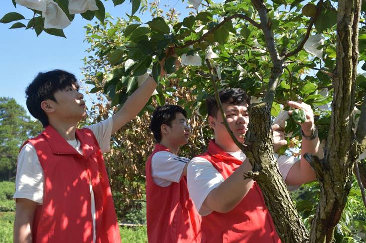 图示, 示意图

中度可信度描述已自动生成:ver1