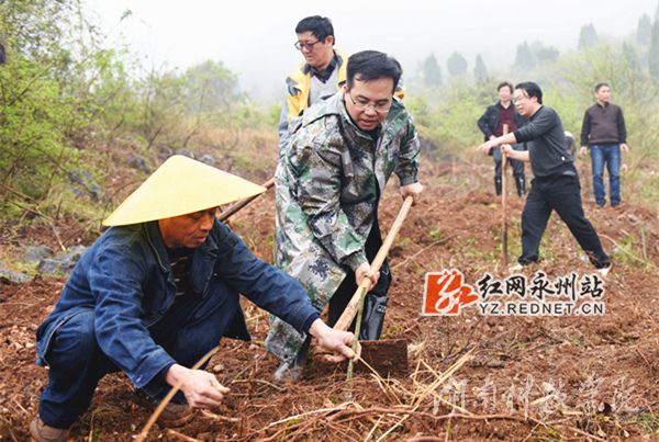 2026世界杯官方合作网站党委书记陈弘与潮水铺村村支书一同种下金槐树苗
