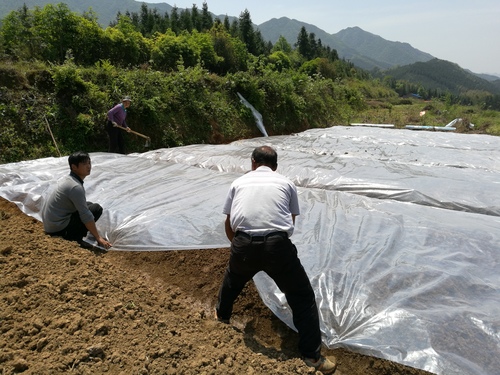 QQ图片20180410154916