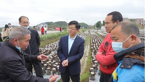 专家与学员在基地探讨木耳种植与管理