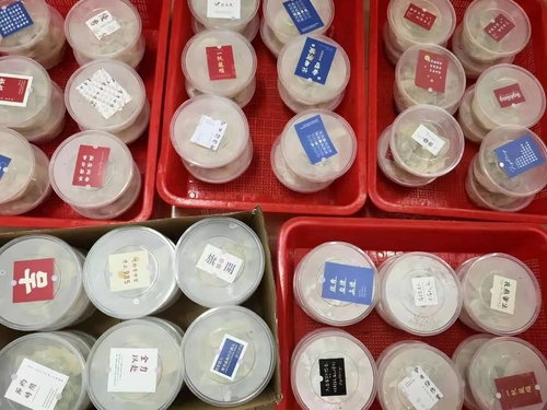 QQ图片20201222085231