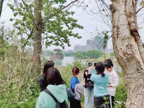 QQ图片20210401095910